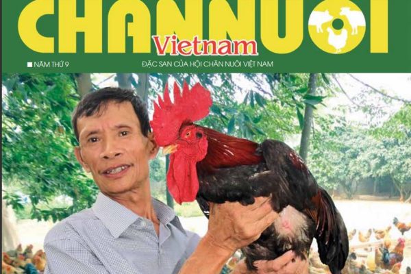 Tăng trưởng trong thách thức