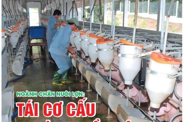 Tạp chí Chăn nuôi Việt Nam tháng 9 năm 2024